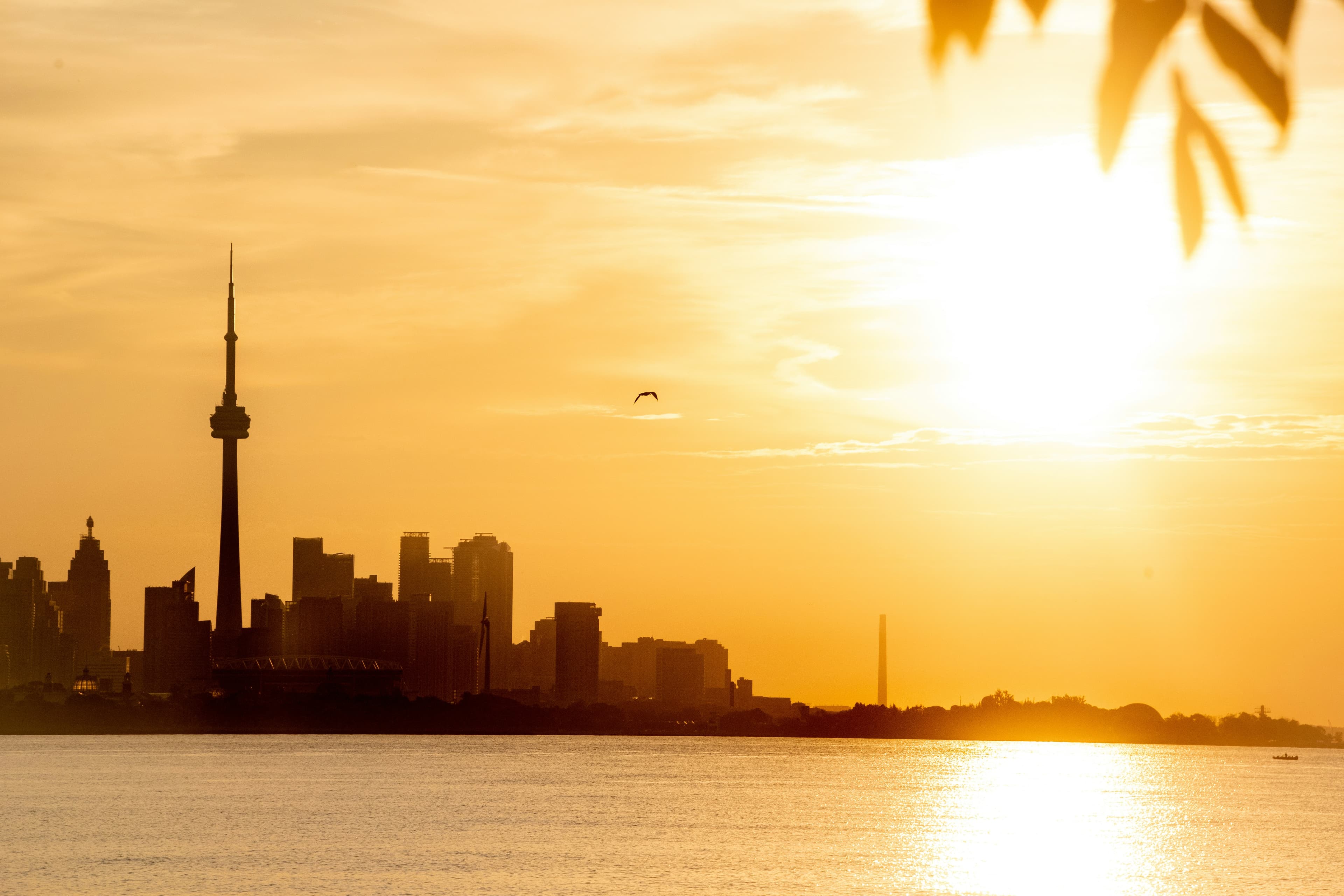 Canada's Summer 2026 Will Be Hotter Than Normal